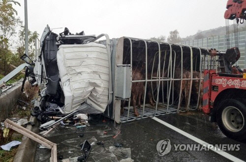 30일 오전 경남 김해시 주촌면 양동리 남해고속도로 부산 방향 냉정분기점(JC) 부근 편도 4차선 도로를 달리던 2.5t 화물차와 제네시스 승용차의 접촉사고가 발생해 화물차 운전사가 현장에서 숨졌다. 사진은 사고 현장.   [독자 송영훈 씨 제공]
